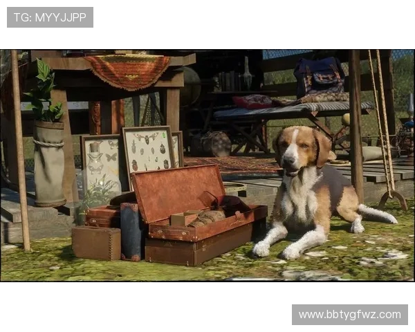 赏金大对决网站登录入口官方公告，获取最新登录入口相关通知和公告